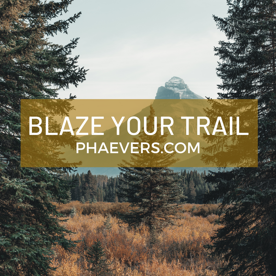 Blaze Your Trail